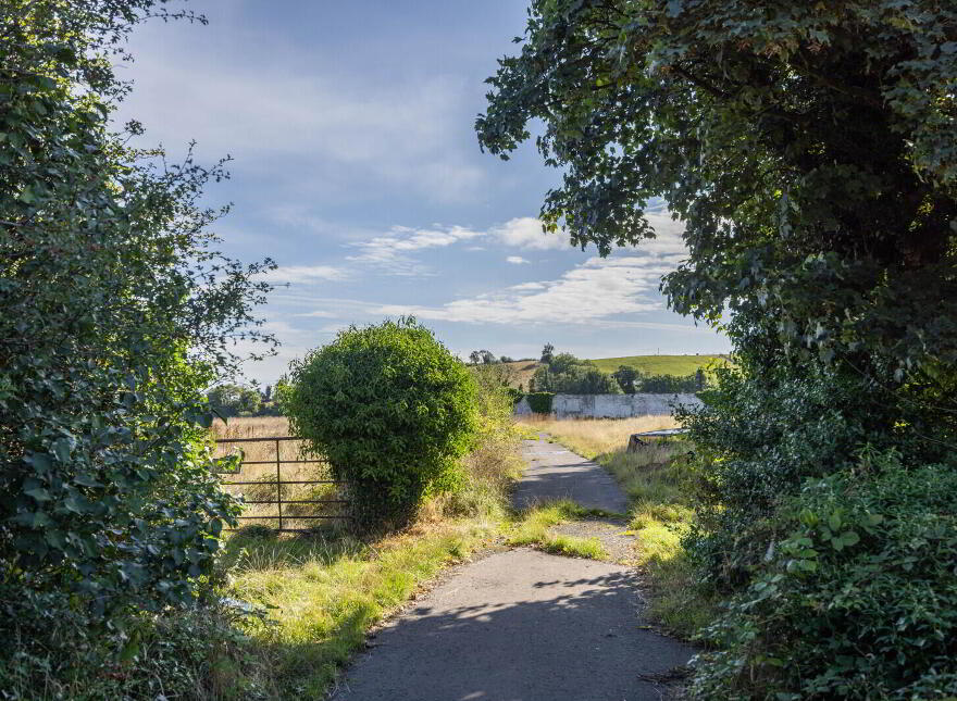 130 Drumaness Road, Drumaness, Ballynahinch, BT24 8RL