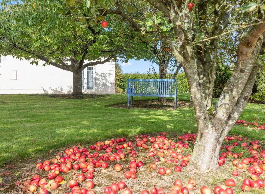 Moygrehan, Athboy, Cloran, C15KC78