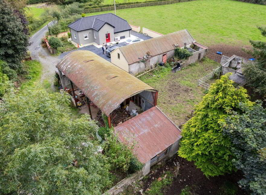 Jenkinstown Park, Jenkinstown, R95KX20