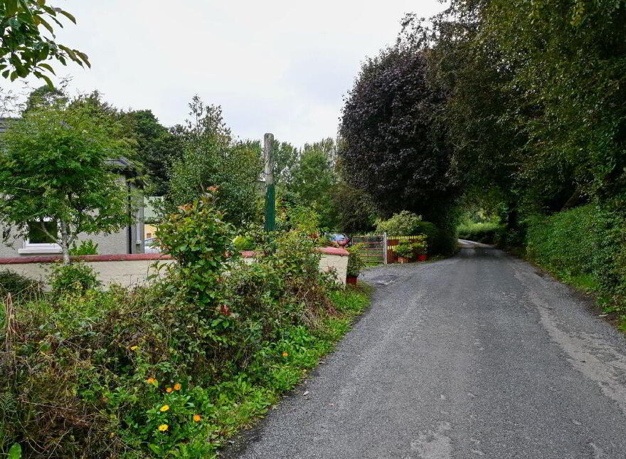 Jenkinstown Park, Jenkinstown, R95KX20