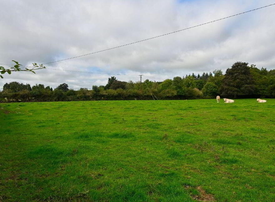 Jenkinstown Park, Jenkinstown, R95KX20