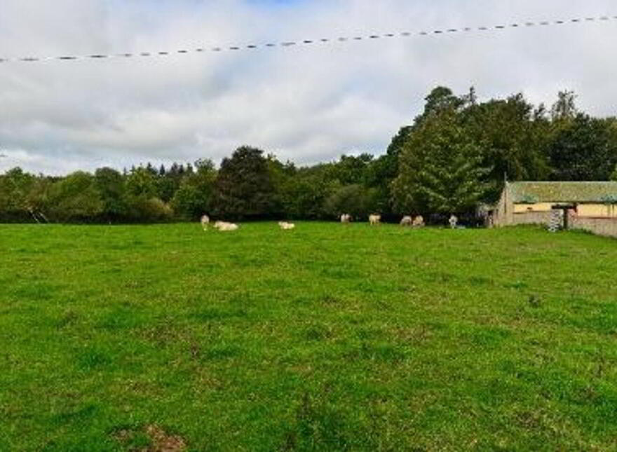 Jenkinstown Park, Jenkinstown, R95KX20
