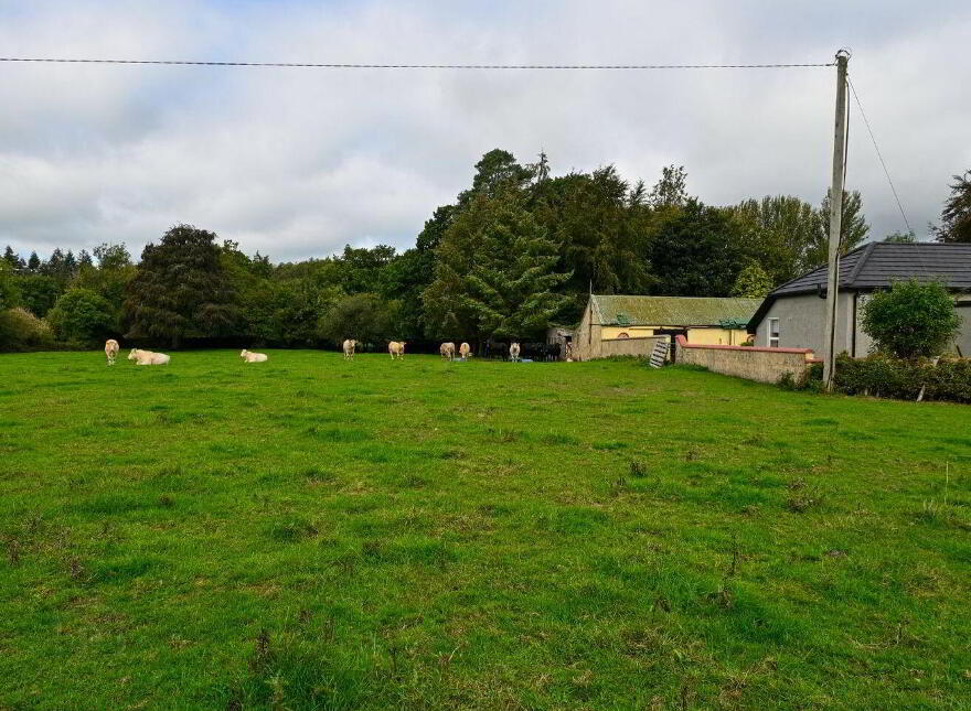 Jenkinstown Park, Jenkinstown, R95KX20