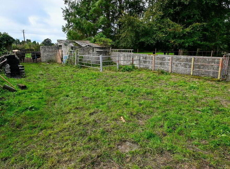 Jenkinstown Park, Jenkinstown, R95KX20