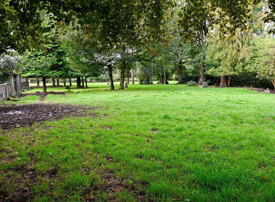 Jenkinstown Park, Jenkinstown, R95KX20