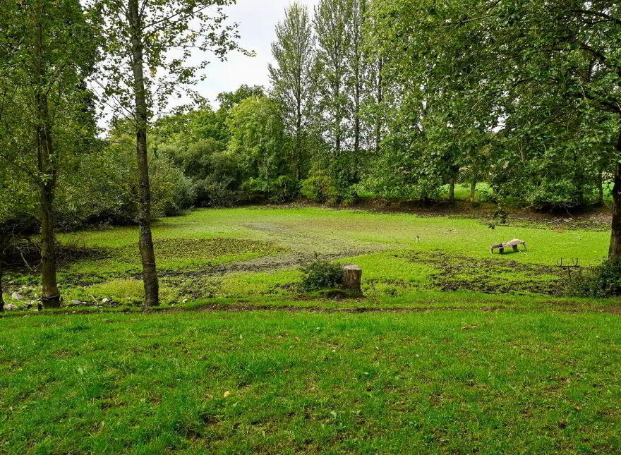 Jenkinstown Park, Jenkinstown, R95KX20