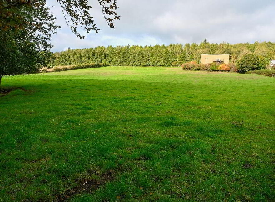 Jenkinstown Park, Jenkinstown, R95KX20
