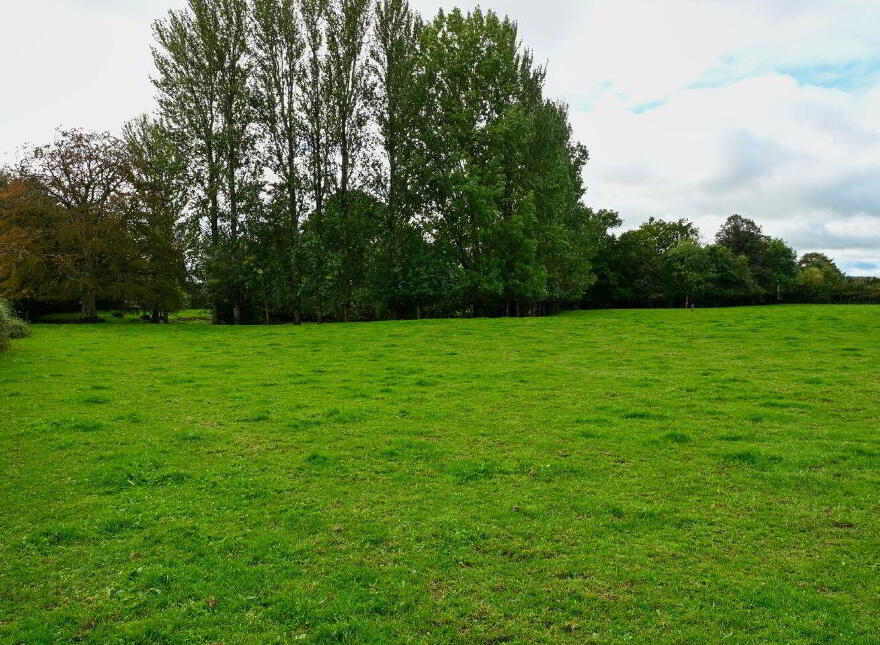 Jenkinstown Park, Jenkinstown, R95KX20