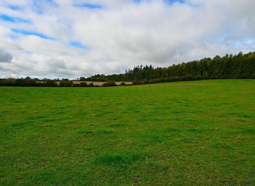 Jenkinstown Park, Jenkinstown, R95KX20