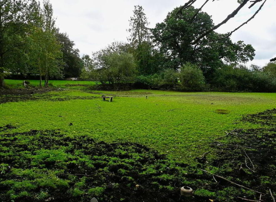 Jenkinstown Park, Jenkinstown, R95KX20