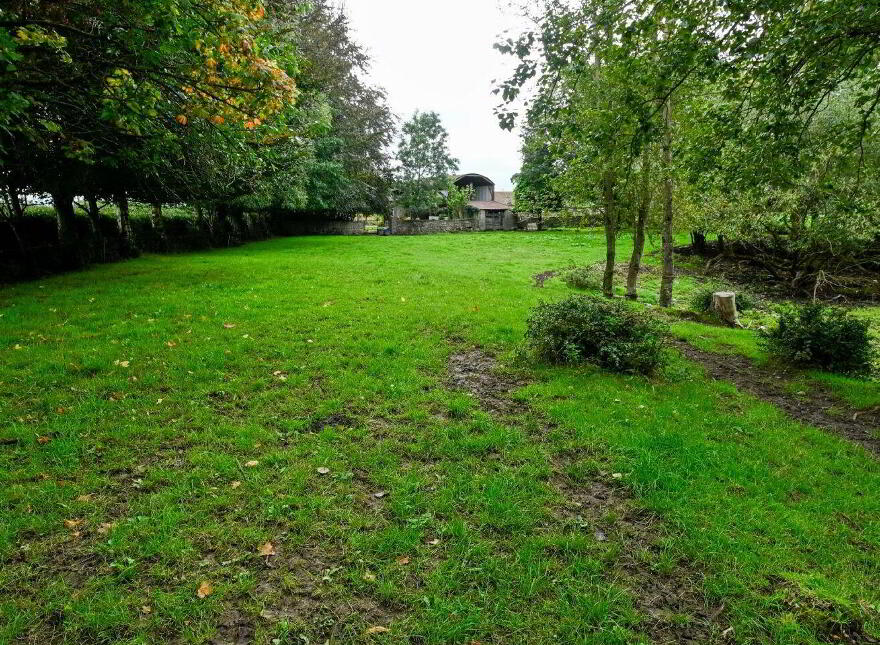 Jenkinstown Park, Jenkinstown, R95KX20