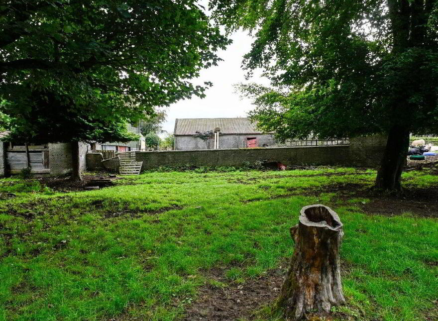 Jenkinstown Park, Jenkinstown, R95KX20