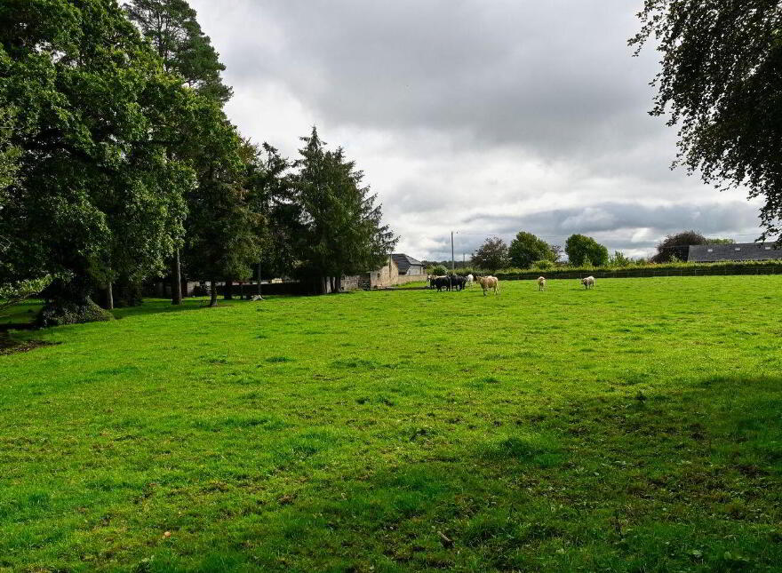 Jenkinstown Park, Jenkinstown, R95KX20