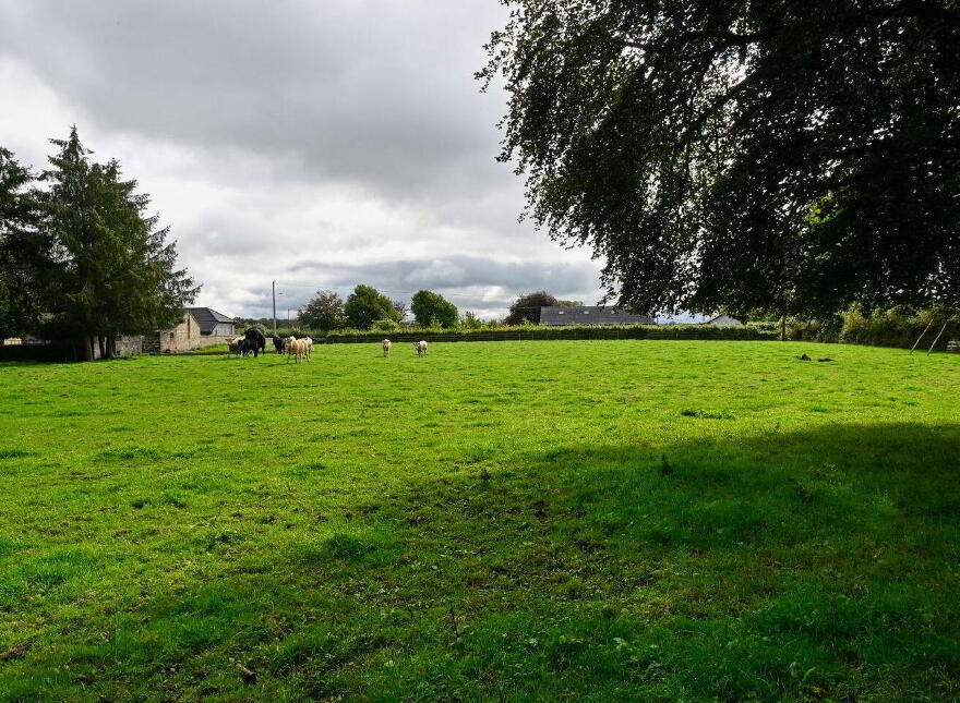Jenkinstown Park, Jenkinstown, R95KX20