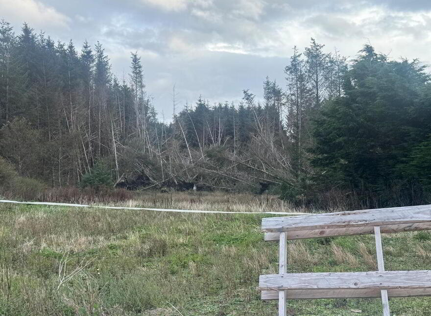 Ballytarsna, Kilshanny, V95AEH5
