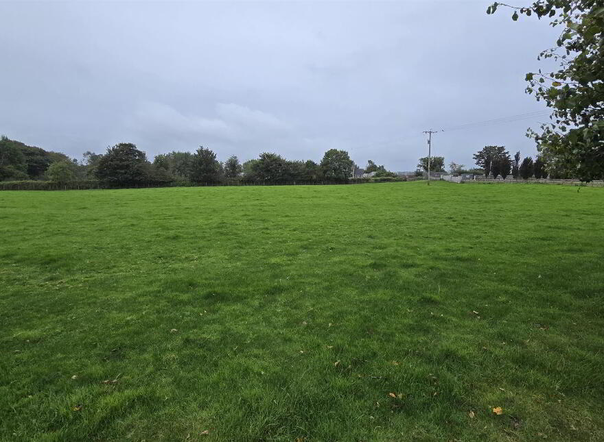 Agricultural Land, Ballymena Road, Cullybackey, Ballymena, BT43 5QS