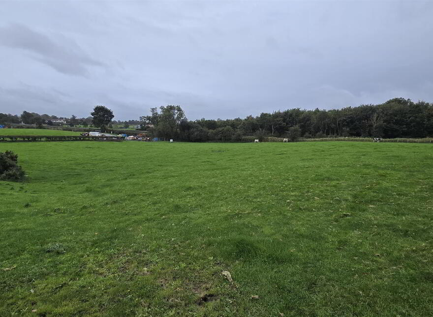 Agricultural Land, Ballymena Road, Cullybackey, Ballymena, BT43 5QS