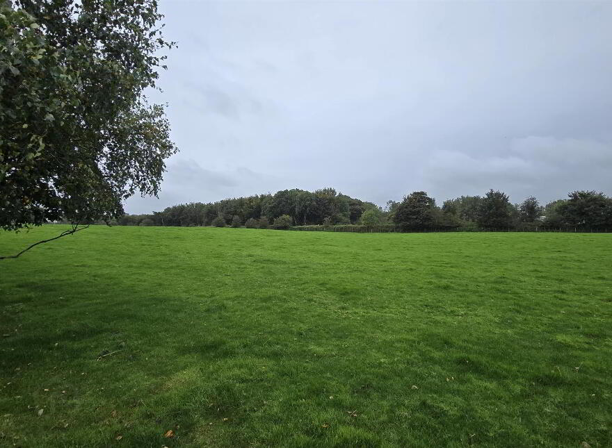 Agricultural Land, Ballymena Road, Cullybackey, Ballymena, BT43 5QS