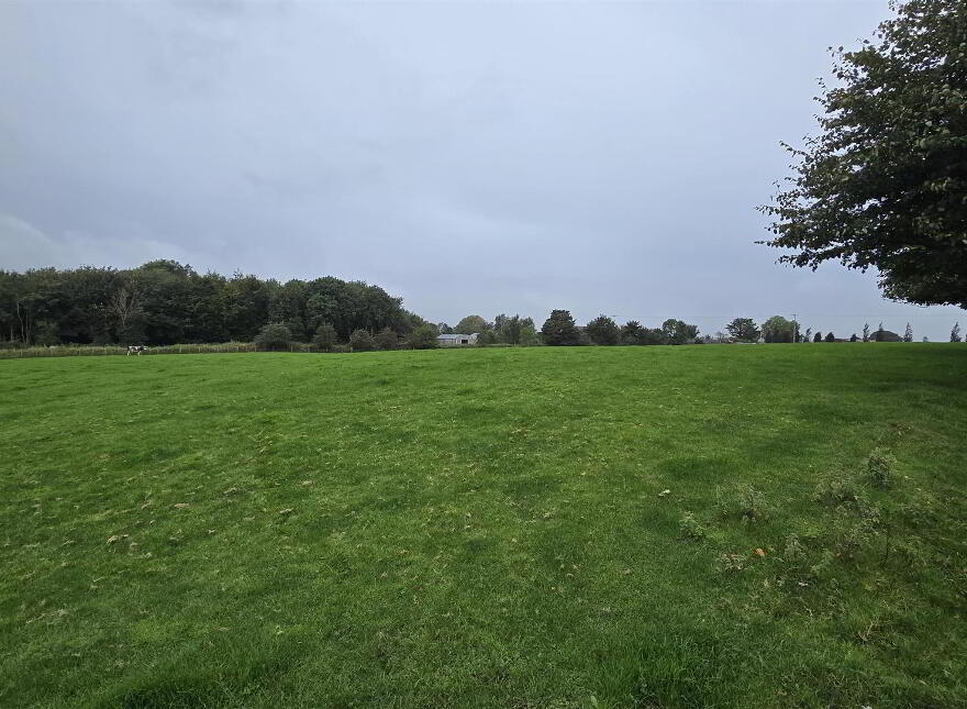 Agricultural Land, Ballymena Road, Cullybackey, Ballymena, BT43 5QS