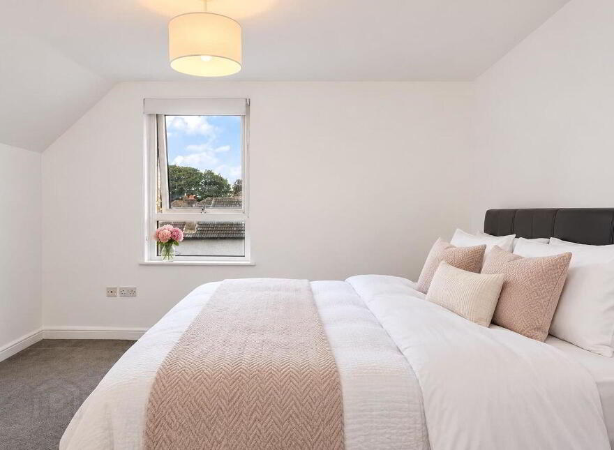 93 Sandford Road, Ranelagh, Ranelagh, D06T8Y6