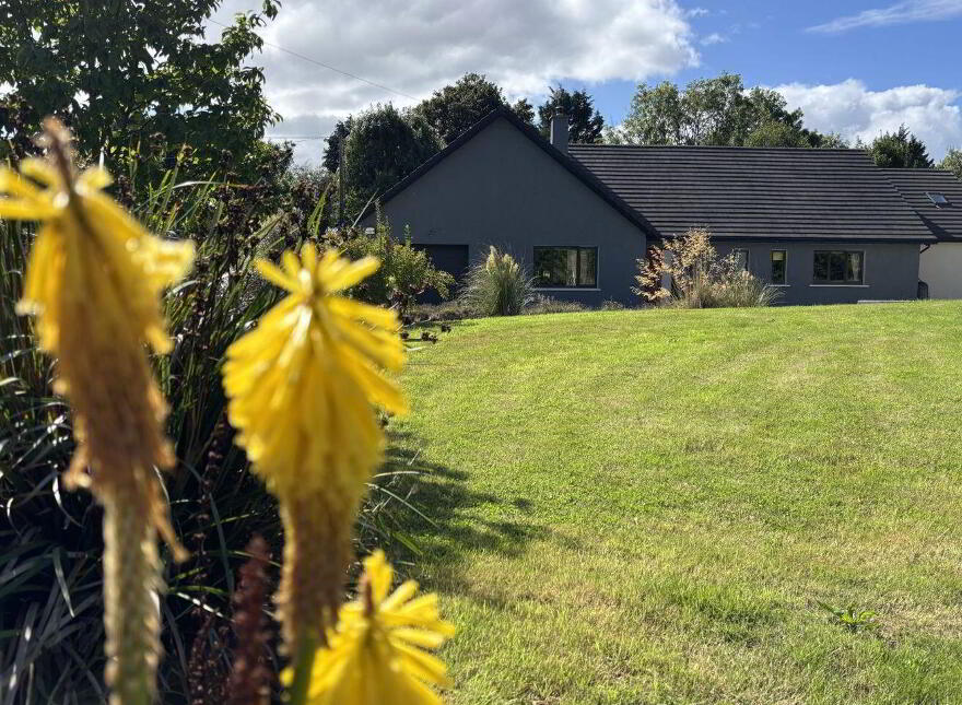 "Strawberry Fields", Jamestown, Enniscorthy, Y21N2R5
