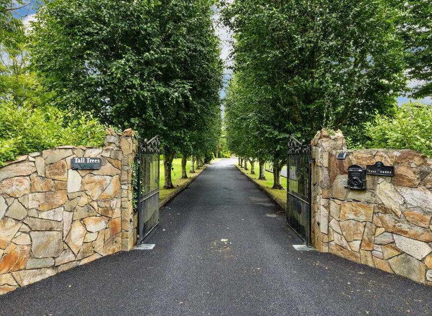 Tall Trees, Whitestown, Oldtown, Oldtown, A45N599