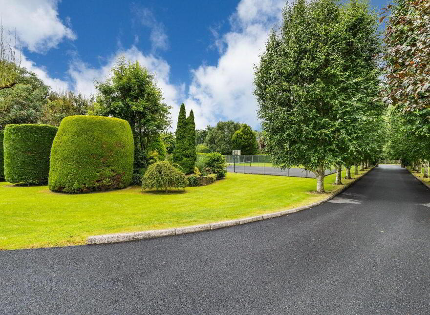 Tall Trees, Whitestown, Oldtown, Oldtown, A45N599