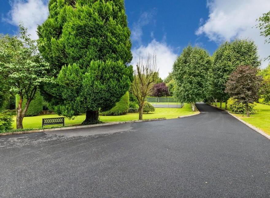 Tall Trees, Whitestown, Oldtown, Oldtown, A45N599