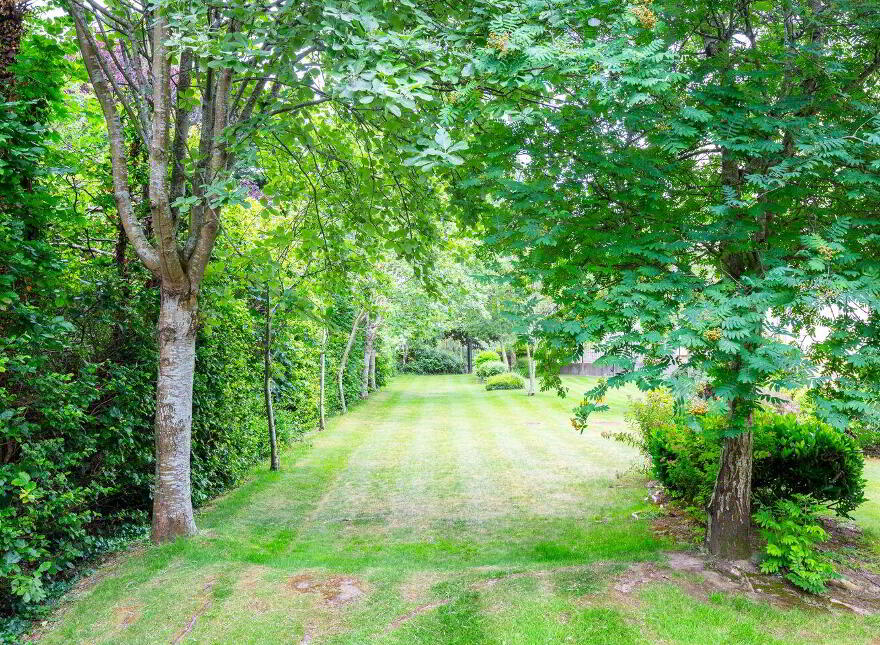 23 Avoca Hall, Avoca Avenue, Blackrock, Blackrock, A94K500