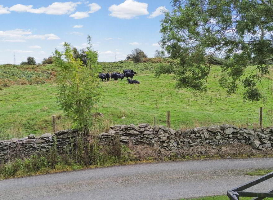 Deerpark View, Drumirril, Inniskeen, A91TD32