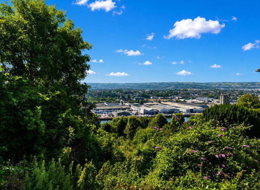 1 Rockview Terrace, Middle Glanmire Road, Montenotte, T23N017