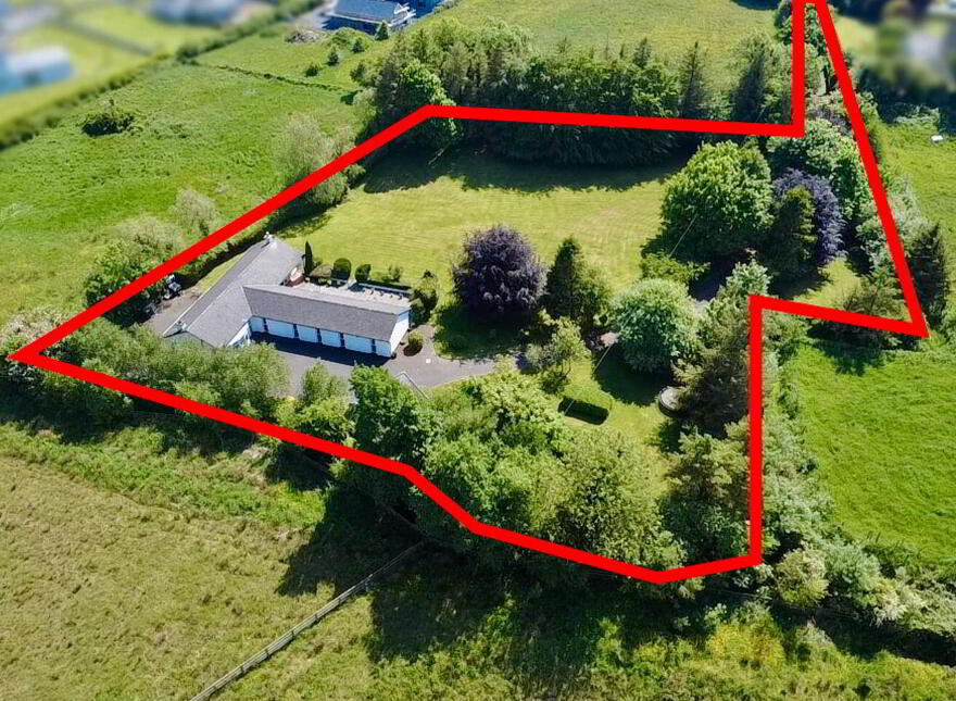 Shintilla, Milebush, Castlebar, F23PC44