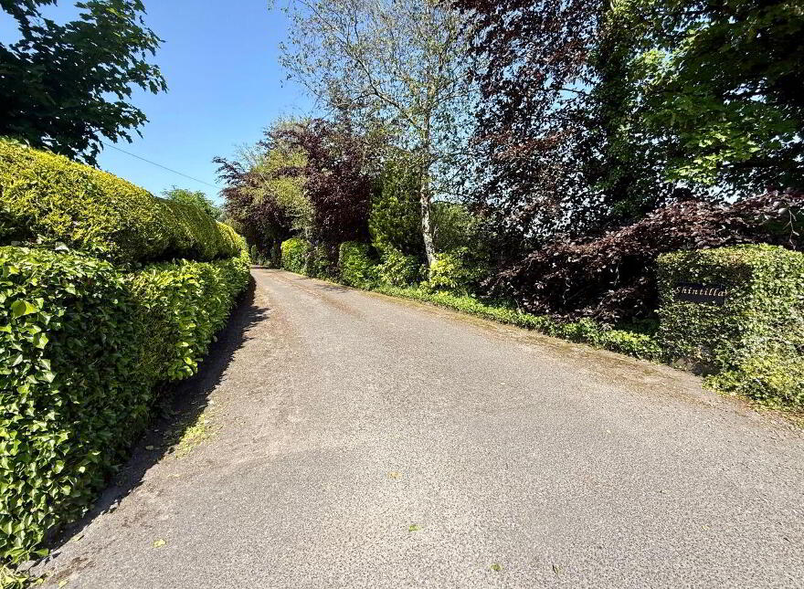 Shintilla, Milebush, Castlebar, F23PC44