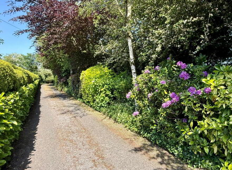 Shintilla, Milebush, Castlebar, F23PC44