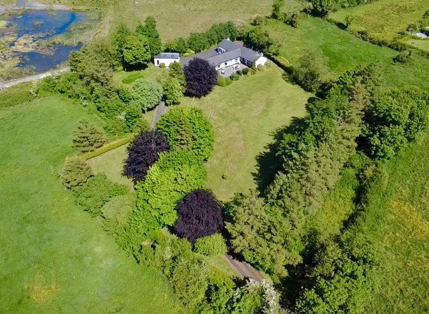 Shintilla, Milebush, Castlebar, F23PC44