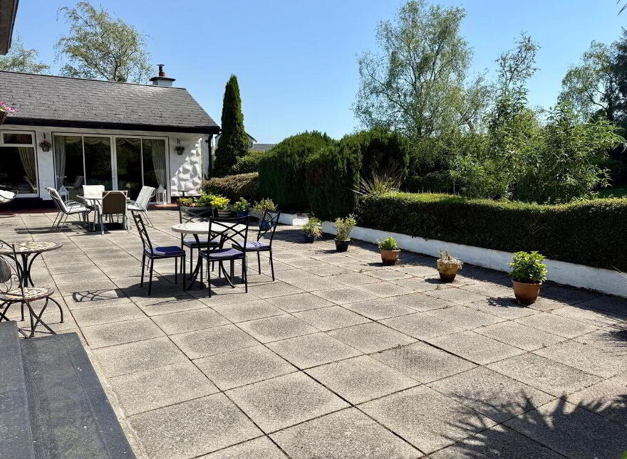 Shintilla, Milebush, Castlebar, F23PC44