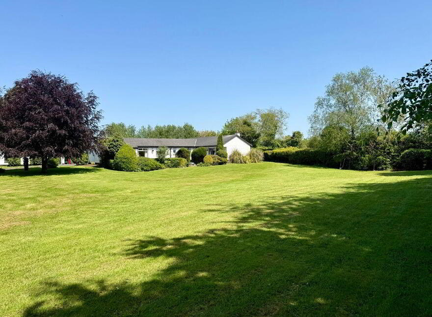 Shintilla, Milebush, Castlebar, F23PC44