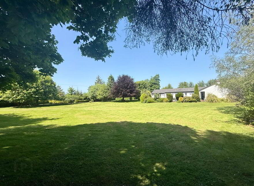 Shintilla, Milebush, Castlebar, F23PC44