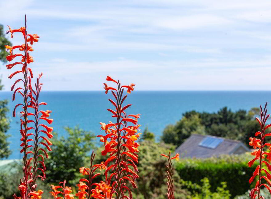 Kilmore, Kilmore Avenue, Killiney, A96F252