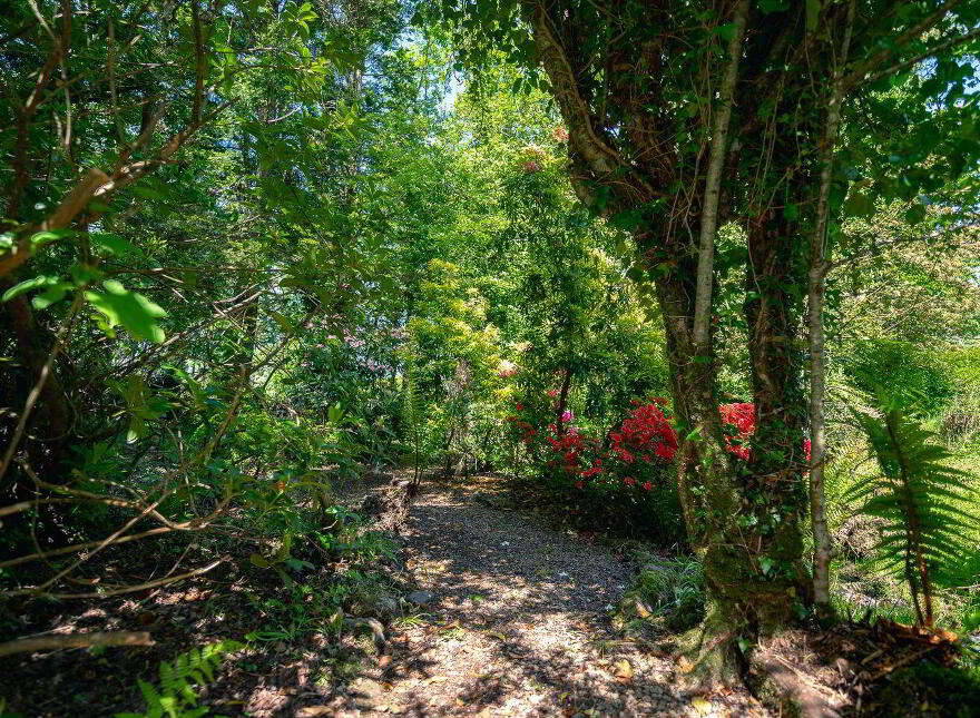 Killaha, Kenmare, V93K2D7