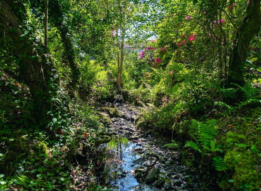 Killaha, Kenmare, V93K2D7