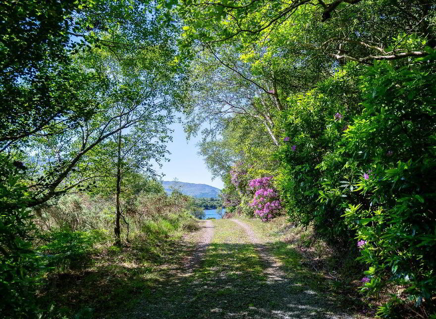 The Old Oak Cottage, Collorus, Lauragh, Lauragh, V93W6V9