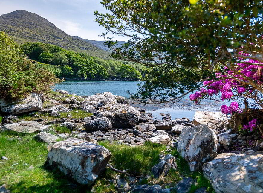 The Old Oak Cottage, Collorus, Lauragh, Lauragh, V93W6V9