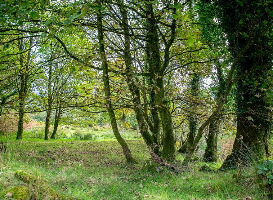 Kilkeanna, Reen, V93N4A8