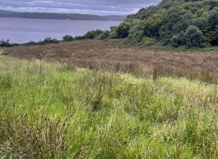 Ballynamona, Calry