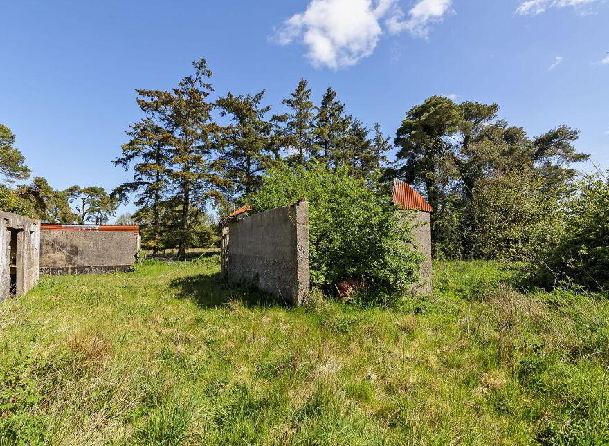 Moylough, Moylough, F91HP76