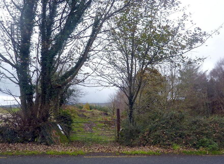 Residential Site, Partry