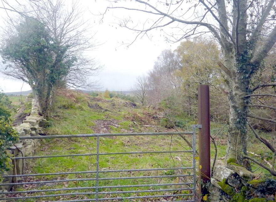 Residential Site, Partry