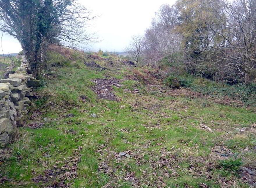 Residential Site, Partry