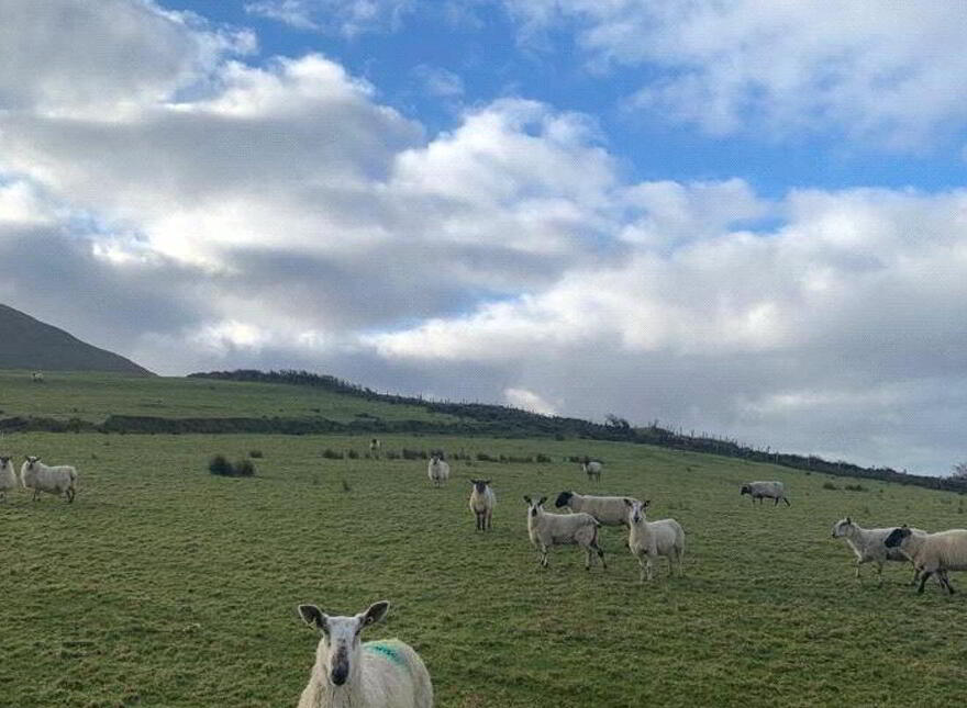Lecanvey, Westport